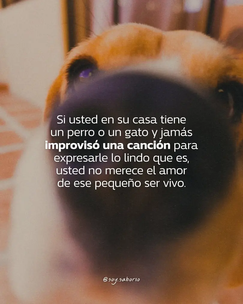 Publicación de @soy_elmaecr